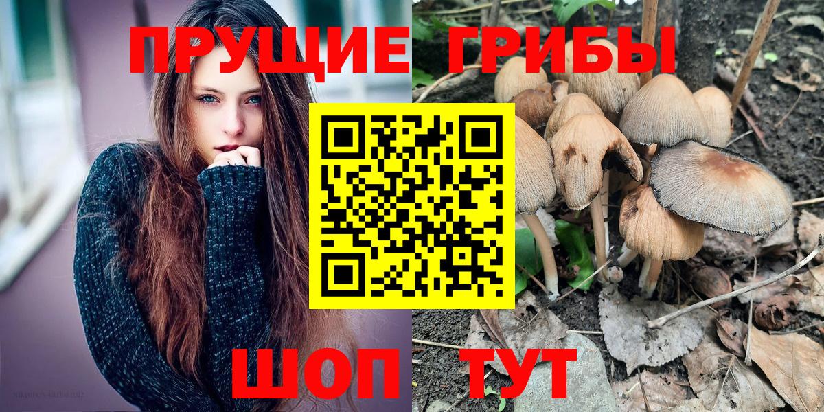 Псилоцибиновые грибы MAGIC MUSHROOMS Калининград