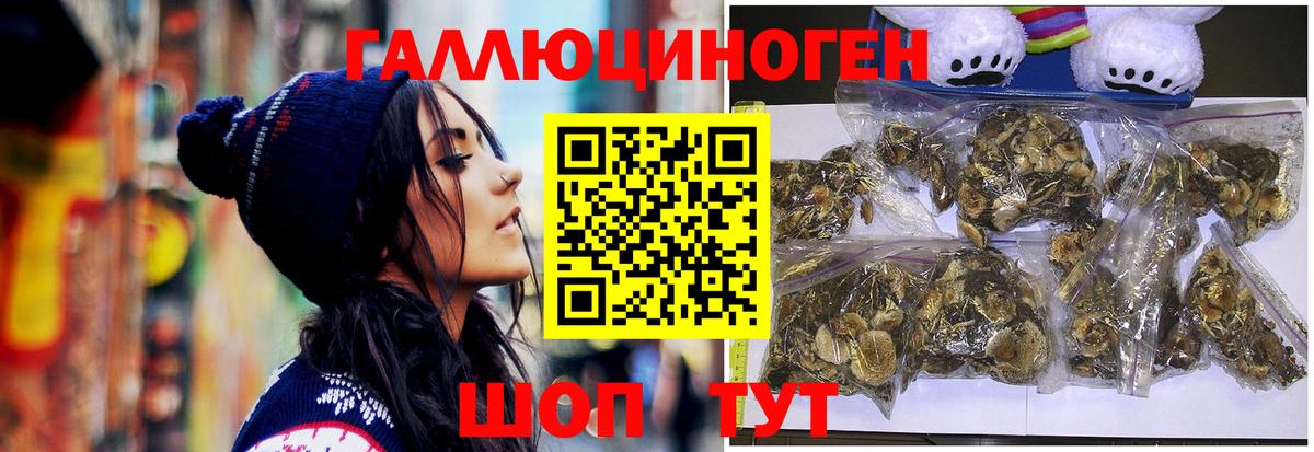 Псилоцибиновые грибы MAGIC MUSHROOMS  Вход с VPN  Калининград 